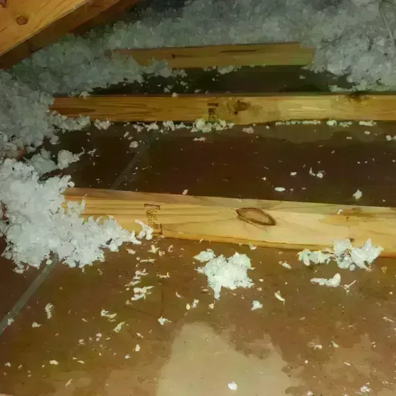 Attic Water Damage in North Pekin, IL